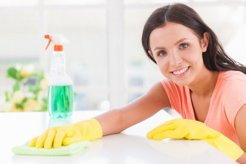 Professional stain removal for carpets and upholstery in Clapham homes