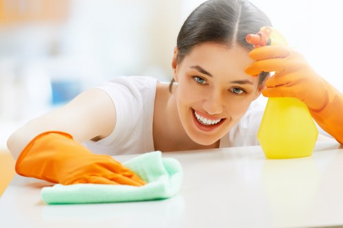 Ongoing domestic cleaning for a Clapham household