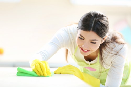 Cleaning professional checking product labels and safety precautions