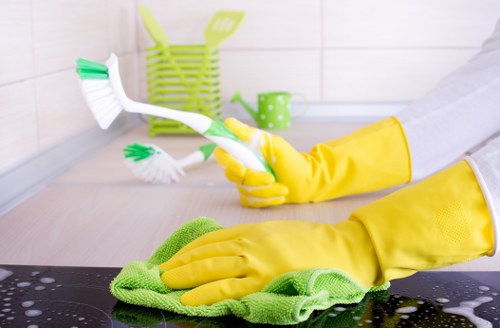 Kitchen and bathroom maintenance cleaning in Clapham