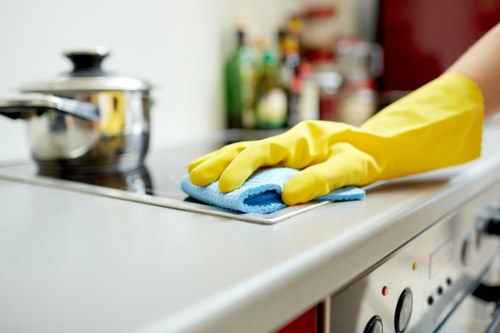 Local cleaning treatment for pet accidents in a Clapham flat