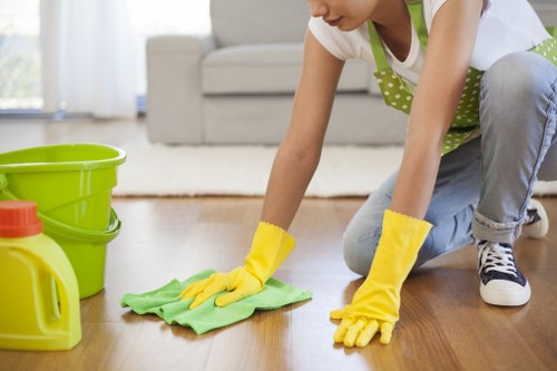 Cleaner restoring a carpet in a Clapham flat